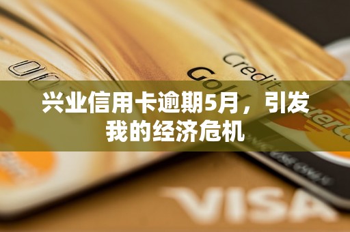 兴业信用卡逾期5月，引发我的经济危机