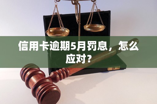 信用卡逾期5月罚息，怎么应对？