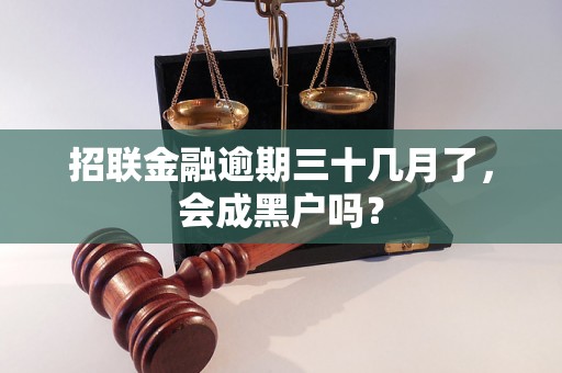 招联金融逾期三十几月了，会成黑户吗？