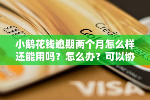 小鹅花钱逾期两个月怎么样还能用吗？怎么办？可以协商还本金吗？