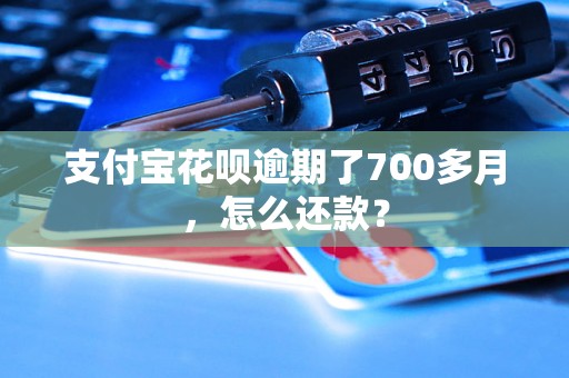 支付宝花呗逾期了700多月，怎么还款？