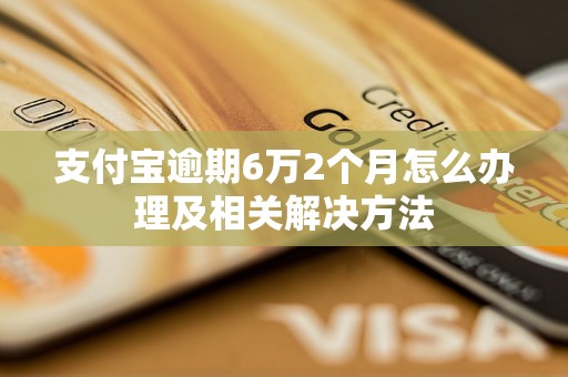 支付宝逾期6万2个月怎么办理及相关解决方法