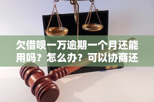 欠借呗一万逾期一个月还能用吗？怎么办？可以协商还本金吗？