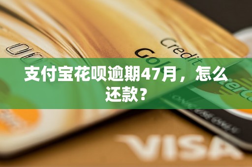 支付宝花呗逾期47月，怎么还款？