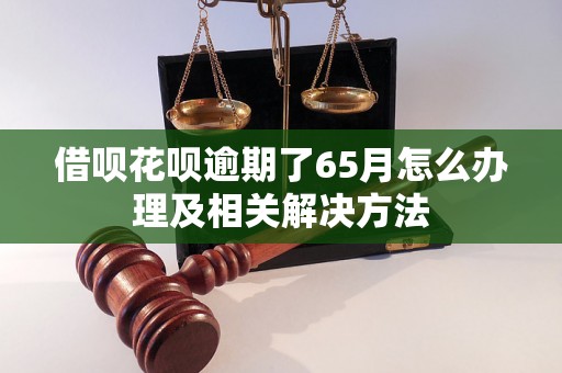 借呗花呗逾期了65月怎么办理及相关解决方法