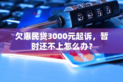 欠惠民贷3000元起诉，暂时还不上怎么办？