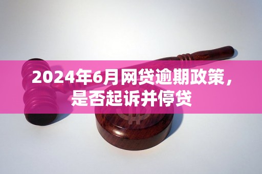 2024年6月网贷逾期政策，是否起诉并停贷