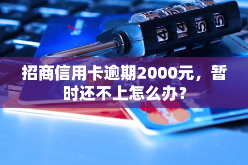 招商信用卡逾期2000元，暂时还不上怎么办？