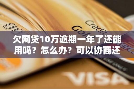 欠网贷10万逾期一年了还能用吗？怎么办？可以协商还本金吗？