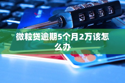 微粒贷逾期5个月2万该怎么办