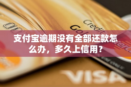 支付宝逾期没有全部还款怎么办，多久上信用？