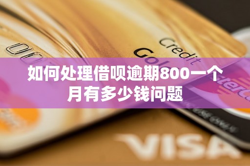 如何处理借呗逾期800一个月有多少钱问题