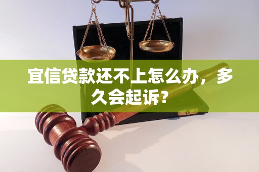 宜信贷款还不上怎么办，多久会起诉？