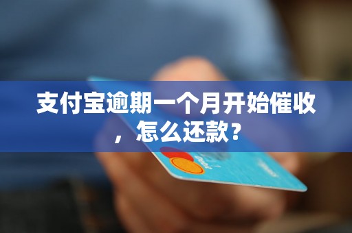 支付宝逾期一个月开始催收，怎么还款？