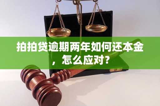 拍拍贷逾期两年如何还本金，怎么应对？