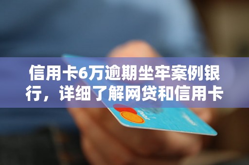 信用卡6万逾期坐牢案例银行，详细了解网贷和信用卡逾期法律后果