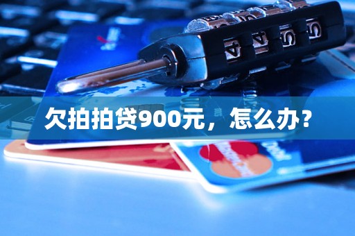 欠拍拍贷900元，怎么办？