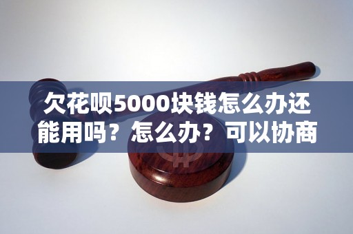 欠花呗5000块钱怎么办还能用吗？怎么办？可以协商还本金吗？