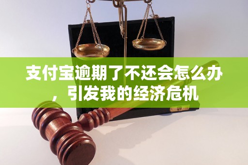 支付宝逾期了不还会怎么办，引发我的经济危机