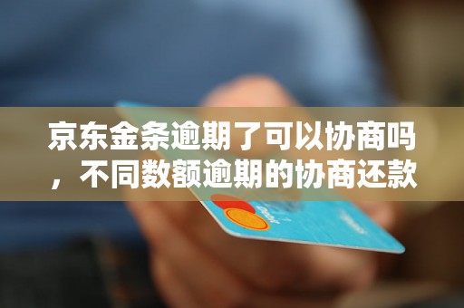 京东金条逾期了可以协商吗，不同数额逾期的协商还款经验分享