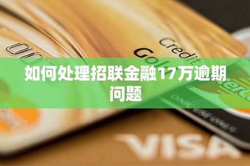 如何处理招联金融17万逾期问题