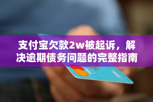 支付宝欠款2w被起诉，解决逾期债务问题的完整指南