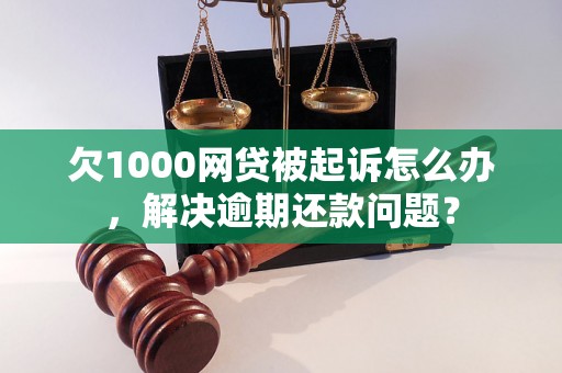 欠1000网贷被起诉怎么办，解决逾期还款问题？