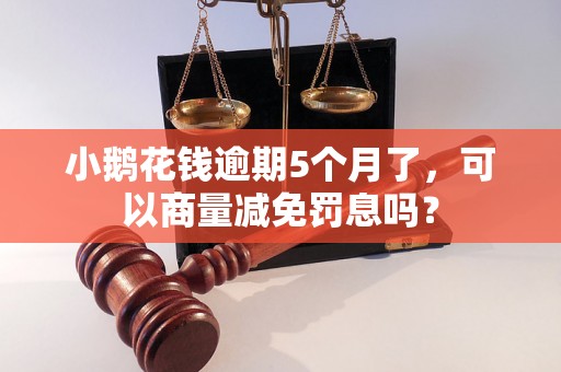 小鹅花钱逾期5个月了，可以商量减免罚息吗？