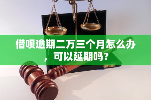 借呗逾期二万三个月怎么办，可以延期吗？