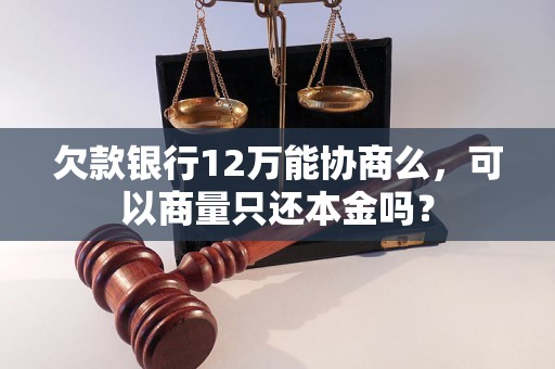 欠款银行12万能协商么，可以商量只还本金吗？