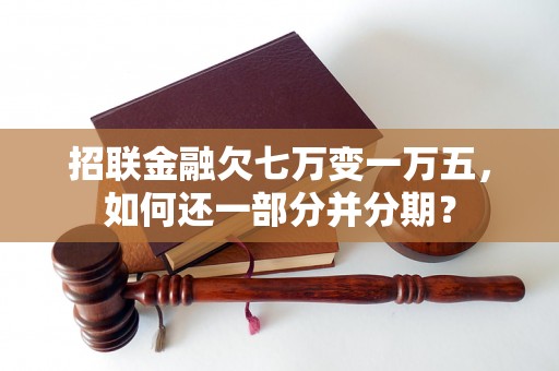 招联金融欠七万变一万五，如何还一部分并分期？