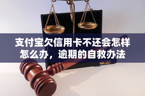 支付宝欠信用卡不还会怎样怎么办，逾期的自救办法