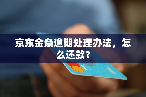 京东金条逾期处理办法，怎么还款？