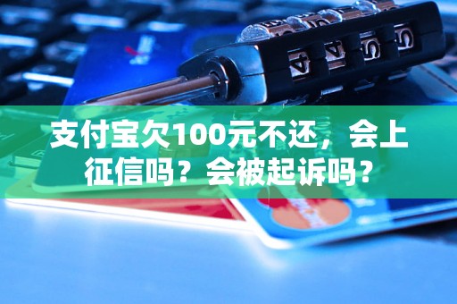 支付宝欠100元不还，会上征信吗？会被起诉吗？