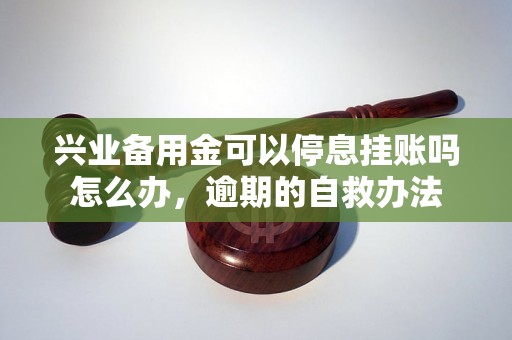 兴业备用金可以停息挂账吗怎么办，逾期的自救办法