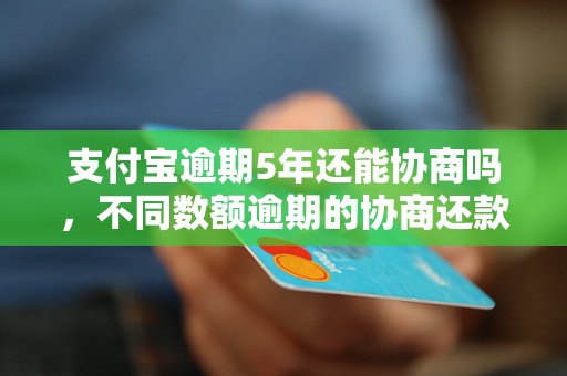 支付宝逾期5年还能协商吗，不同数额逾期的协商还款经验分享