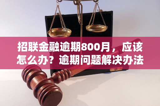 招联金融逾期800月，应该怎么办？逾期问题解决办法