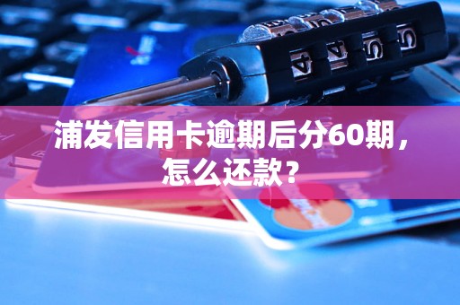 浦发信用卡逾期后分60期，怎么还款？