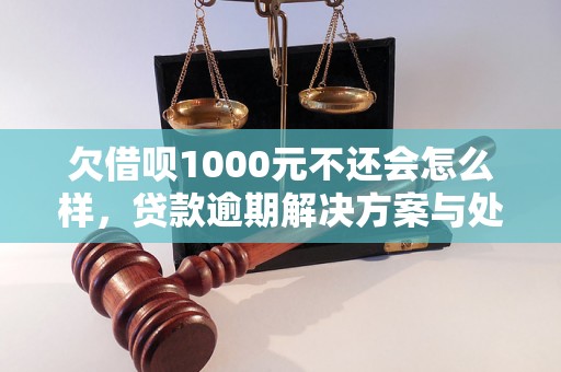 欠借呗1000元不还会怎么样，贷款逾期解决方案与处理策略