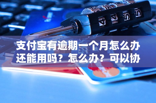 支付宝有逾期一个月怎么办还能用吗？怎么办？可以协商还本金吗？