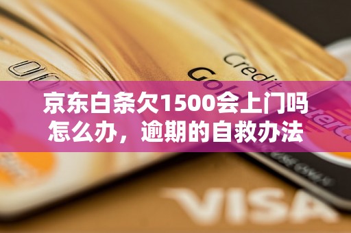 京东白条欠1500会上门吗怎么办，逾期的自救办法