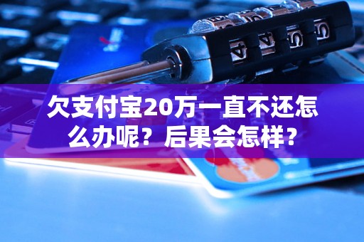 欠支付宝20万一直不还怎么办呢？后果会怎样？