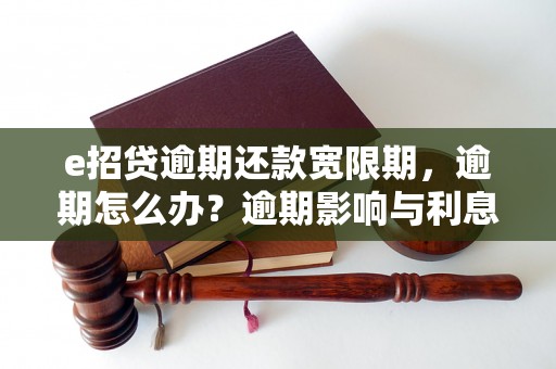 e招贷逾期还款宽限期，逾期怎么办？逾期影响与利息了解！