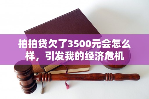 拍拍贷欠了3500元会怎么样，引发我的经济危机