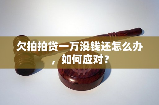 欠拍拍贷一万没钱还怎么办，如何应对？