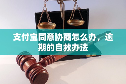 支付宝同意协商怎么办，逾期的自救办法