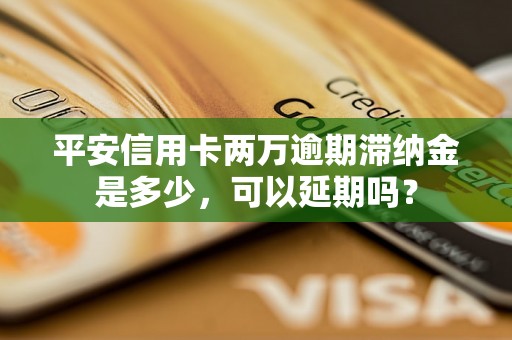 平安信用卡两万逾期滞纳金是多少，可以延期吗？