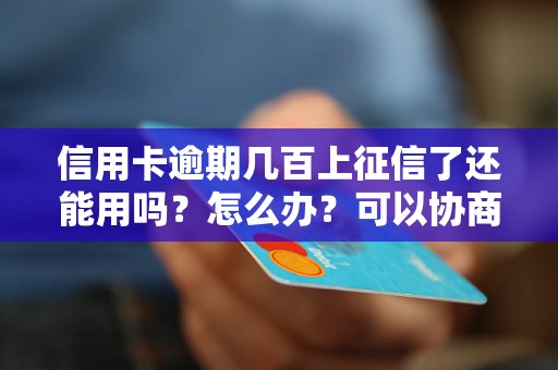 信用卡逾期几百上征信了还能用吗？怎么办？可以协商还本金吗？