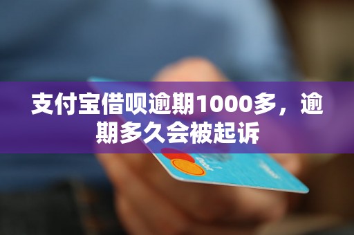 支付宝借呗逾期1000多，逾期多久会被起诉