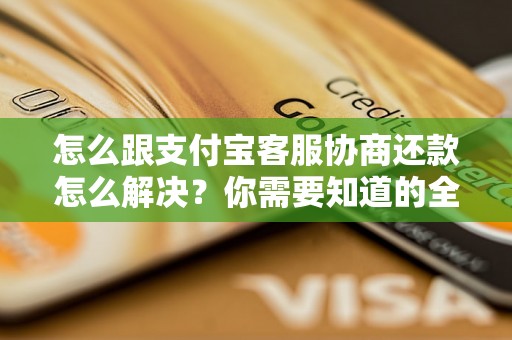 怎么跟支付宝客服协商还款怎么解决？你需要知道的全部解决方法